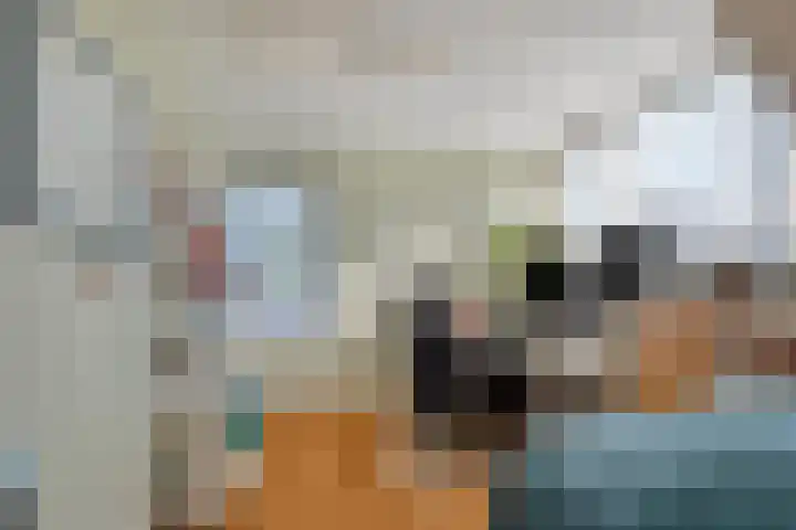 Haarweg 23 a Elspeet thumbnail 31