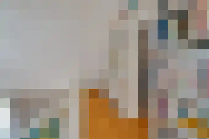 Haarweg 23 a Elspeet thumbnail 36