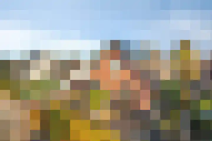 Haarweg 23 a Elspeet thumbnail 4