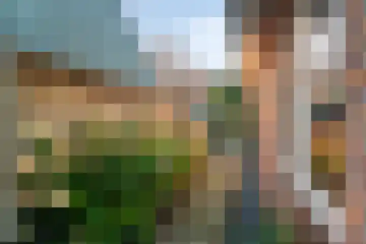 Haarweg 23 a Elspeet thumbnail 40