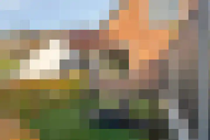 Haarweg 23 a Elspeet thumbnail 41
