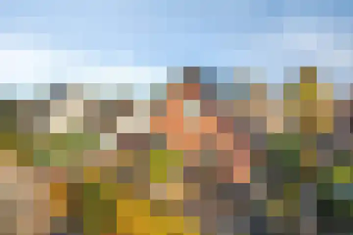 Haarweg 23 a Elspeet thumbnail 42