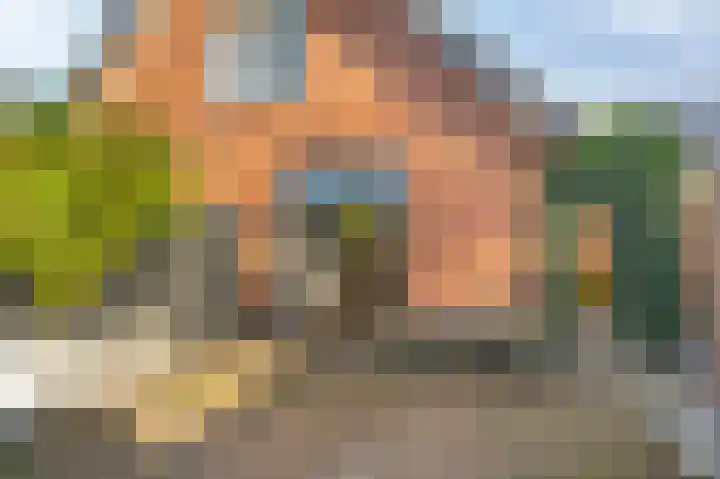 Haarweg 23 a Elspeet thumbnail 45