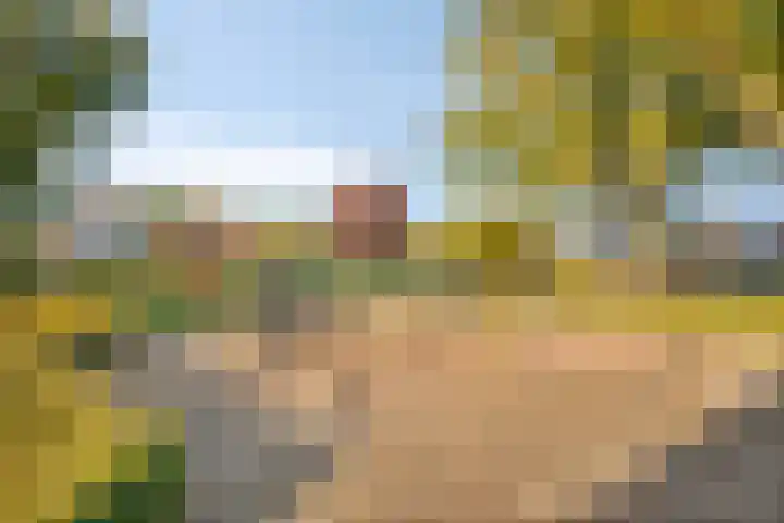 Haarweg 23 a Elspeet thumbnail 46