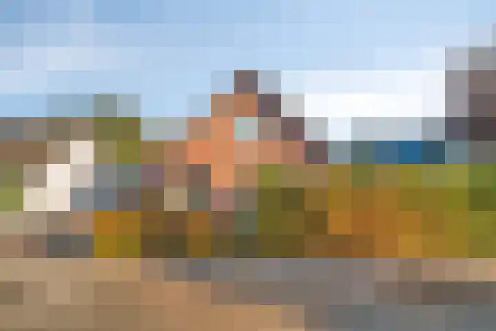 Haarweg 23 a Elspeet thumbnail 5