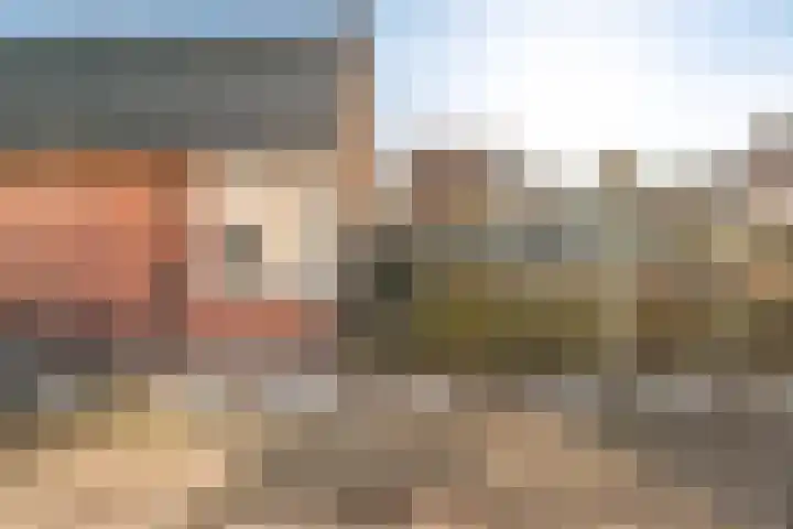 Haarweg 23 a Elspeet thumbnail 7