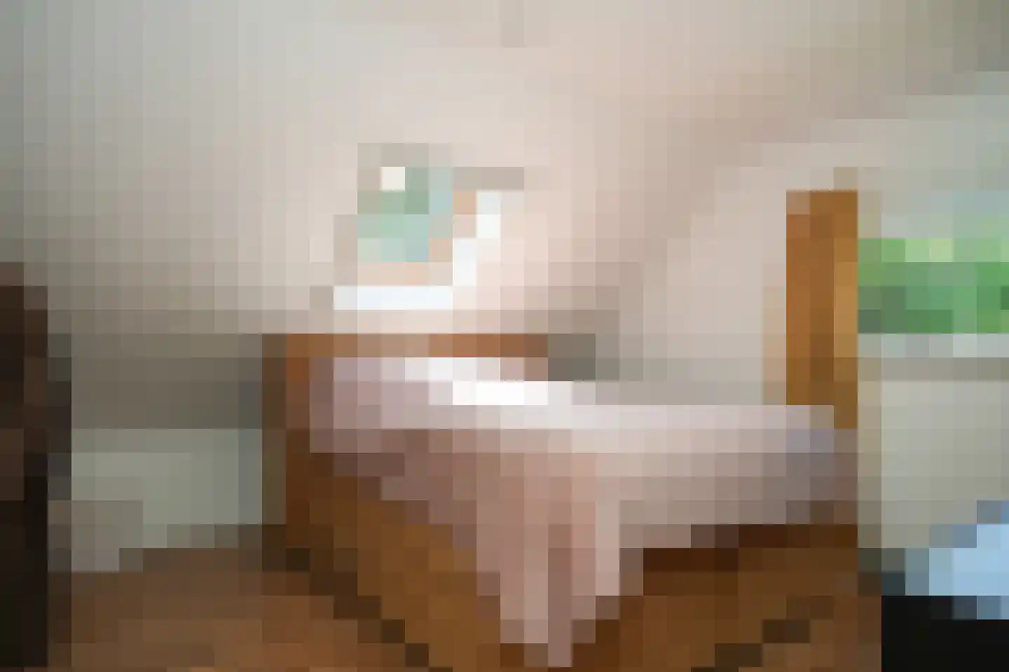 Haarweg 3 Maarsbergen thumbnail 22