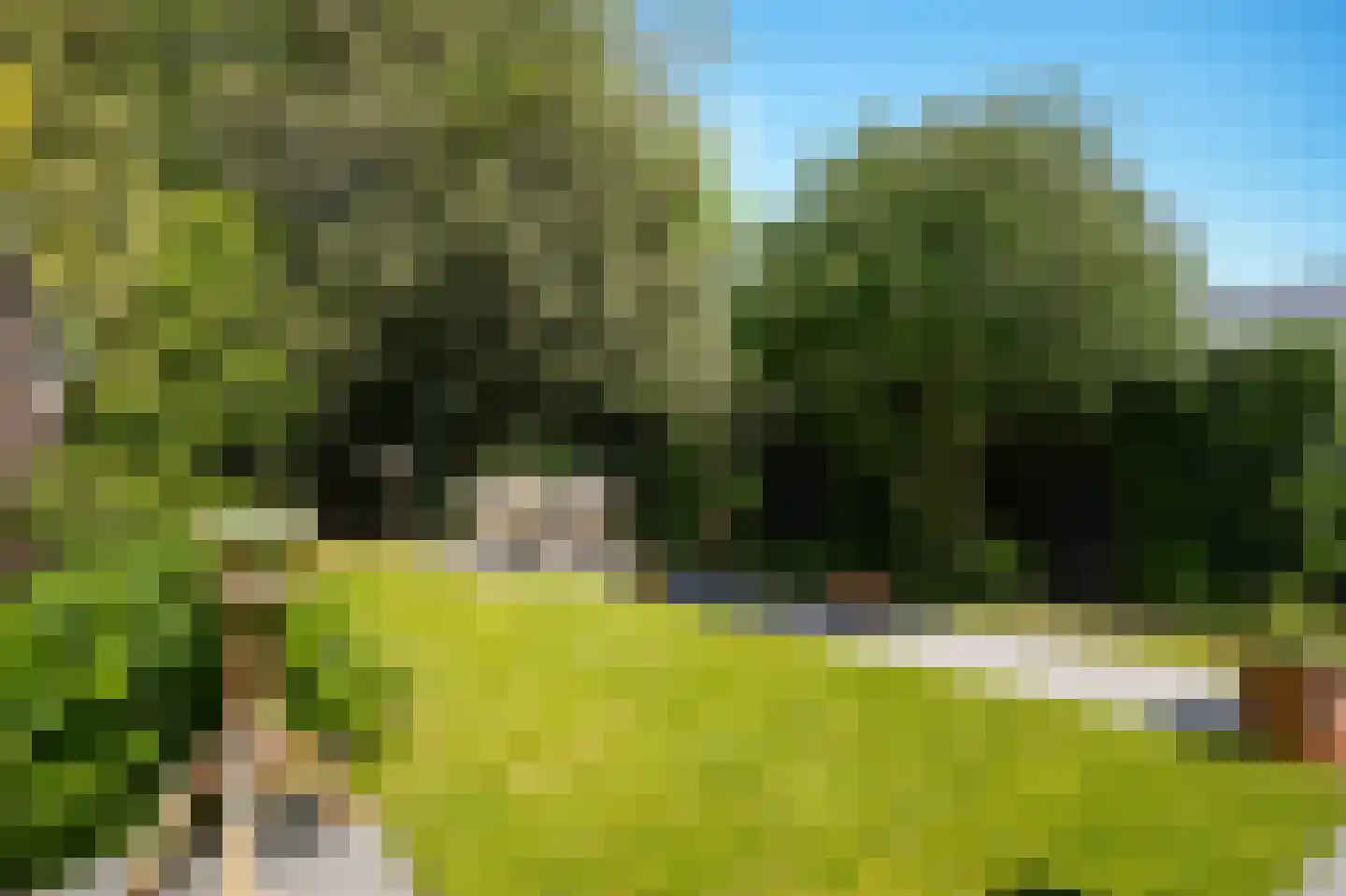 Haarweg 3 Maarsbergen thumbnail 27