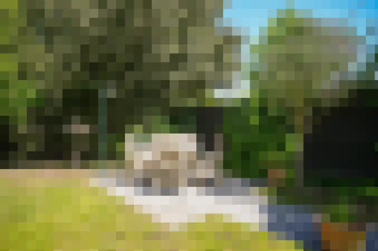 Haarweg 3 Maarsbergen thumbnail 28
