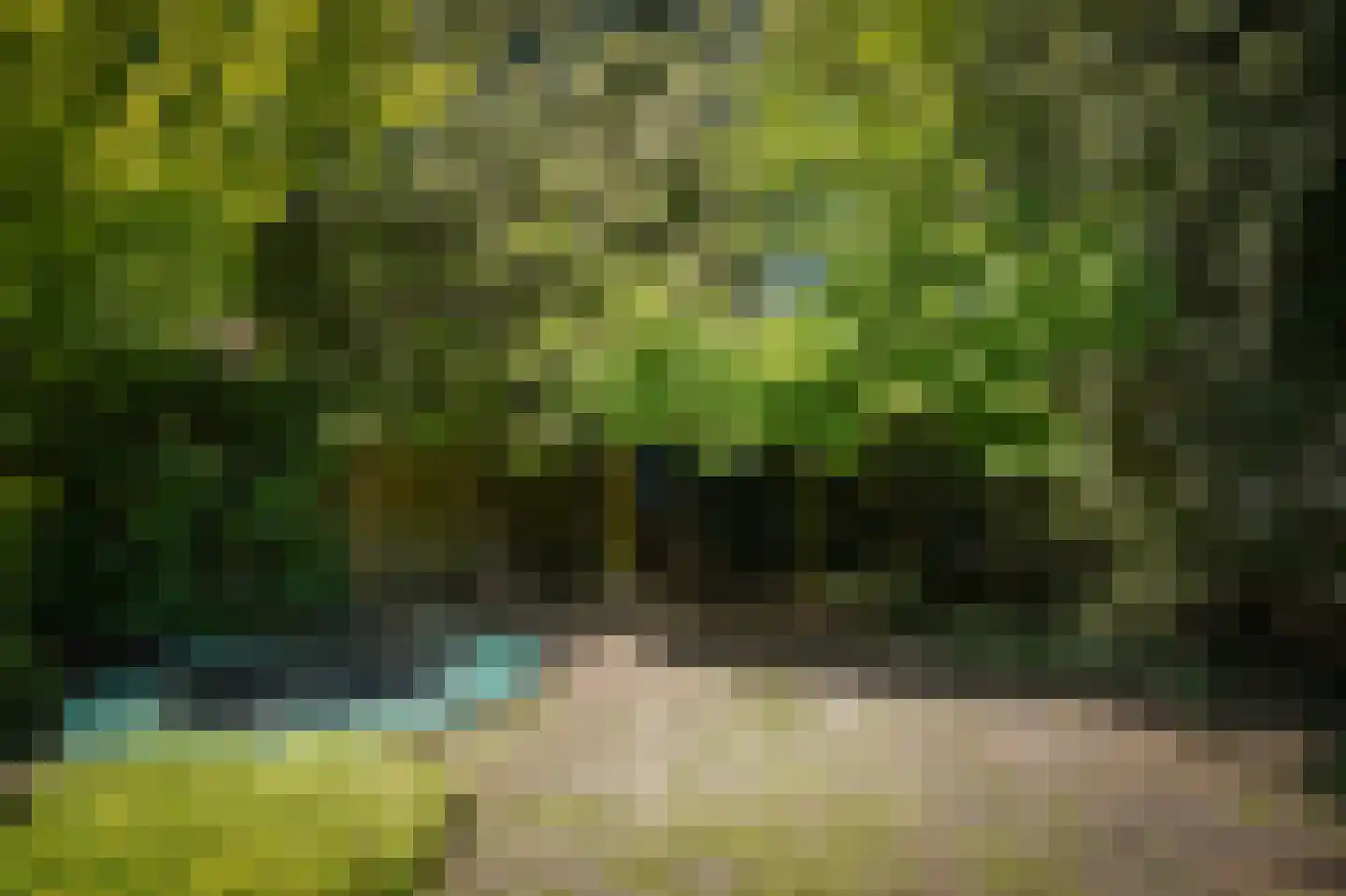 Haarweg 3 Maarsbergen thumbnail 32