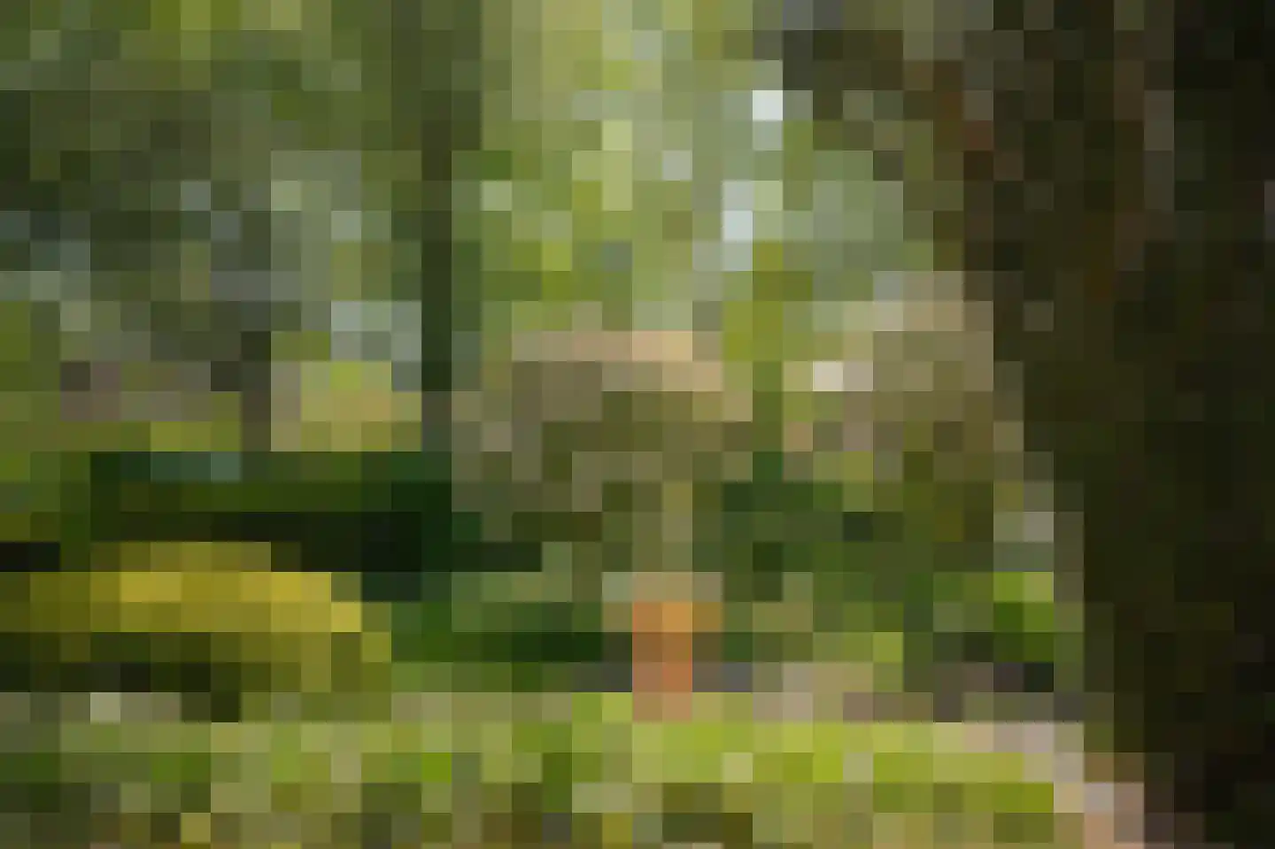 Haarweg 3 Maarsbergen thumbnail 36