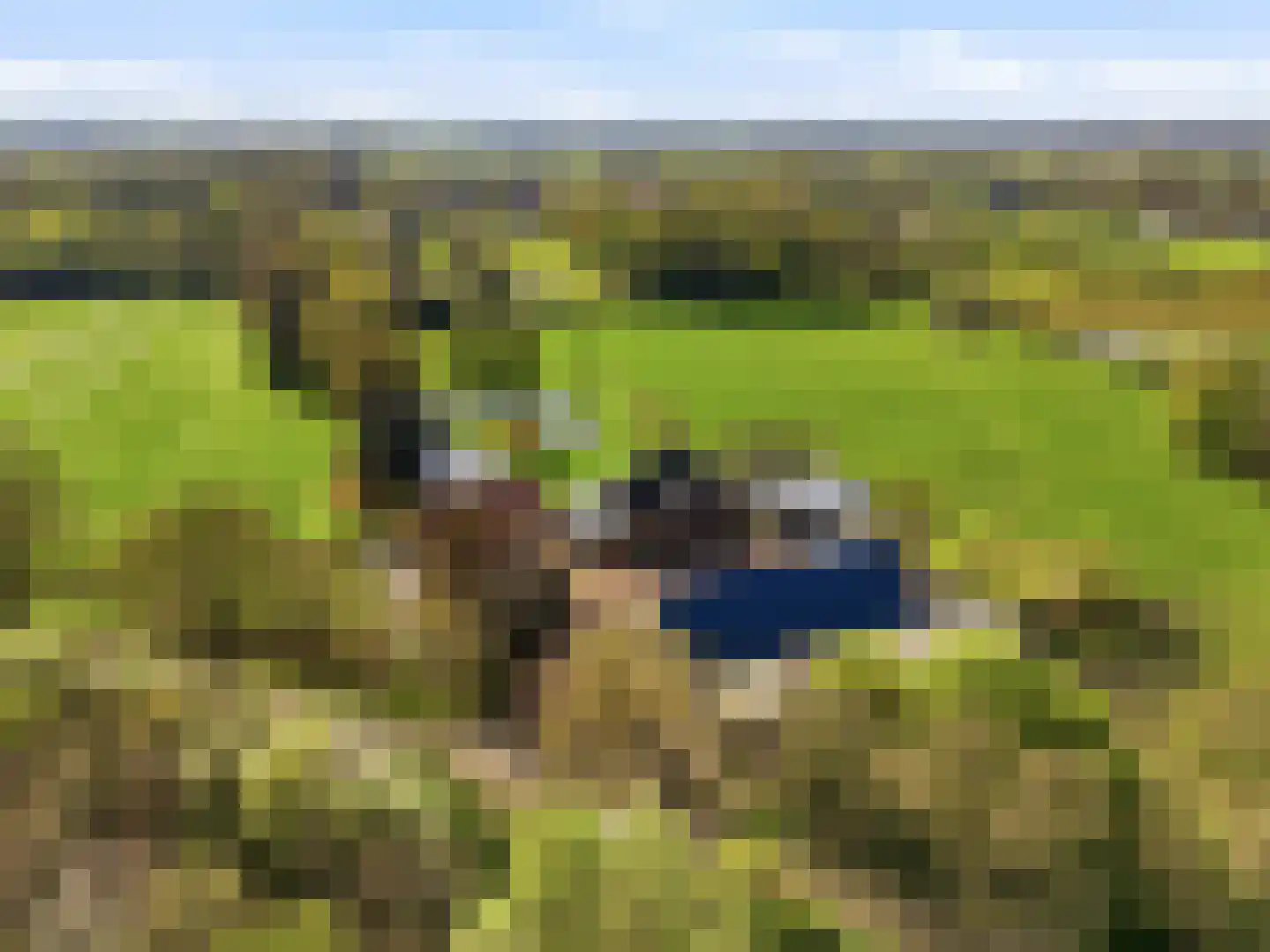Haarweg 3 Tonden