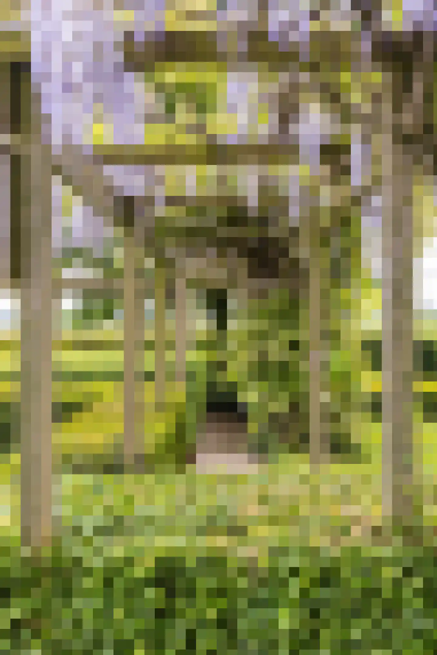 Haarweg 4 Gorinchem thumbnail 27