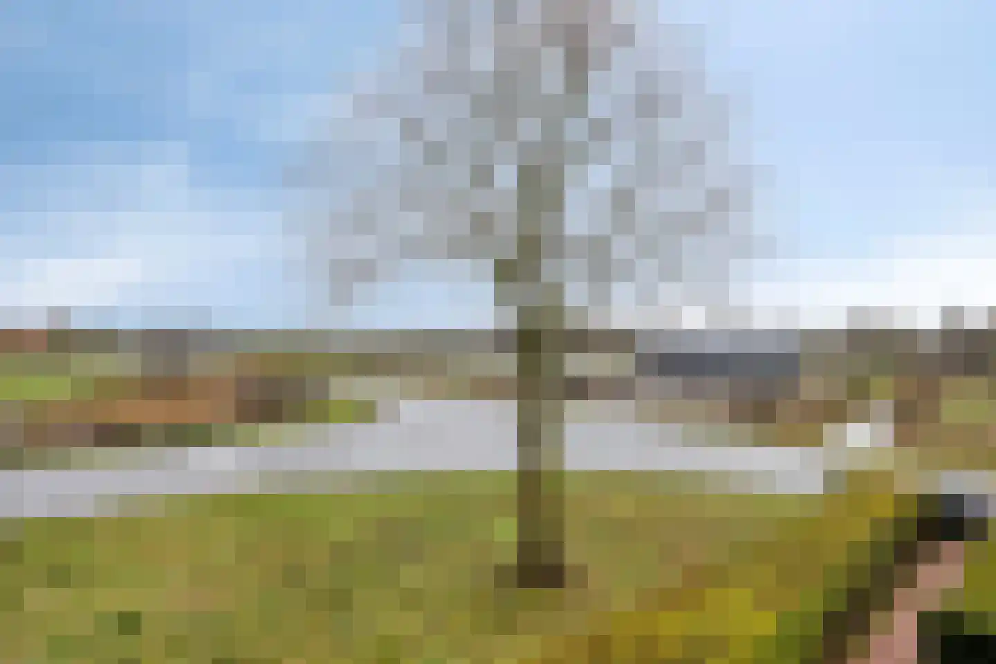 Haarweg 4 Gorinchem thumbnail 29