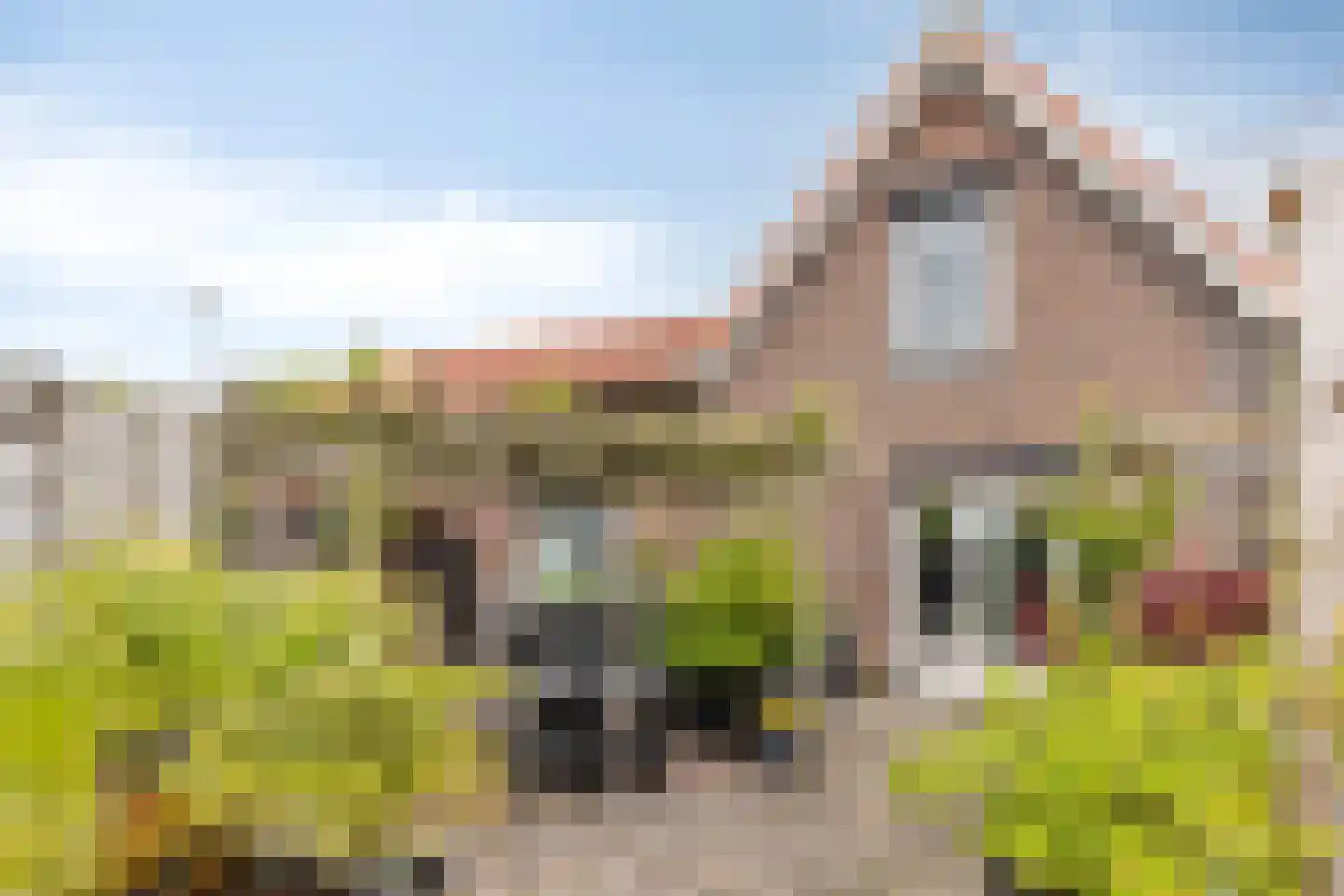 Haarweg 4 Gorinchem thumbnail 29