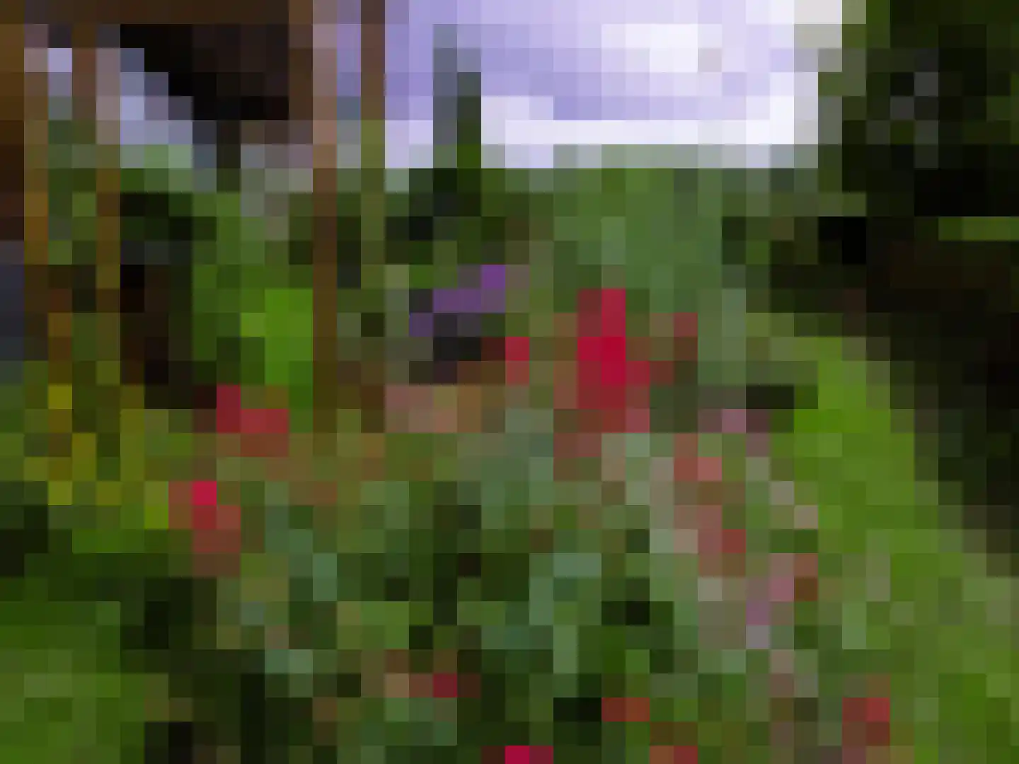 Haarweg 4 Gorinchem thumbnail 38