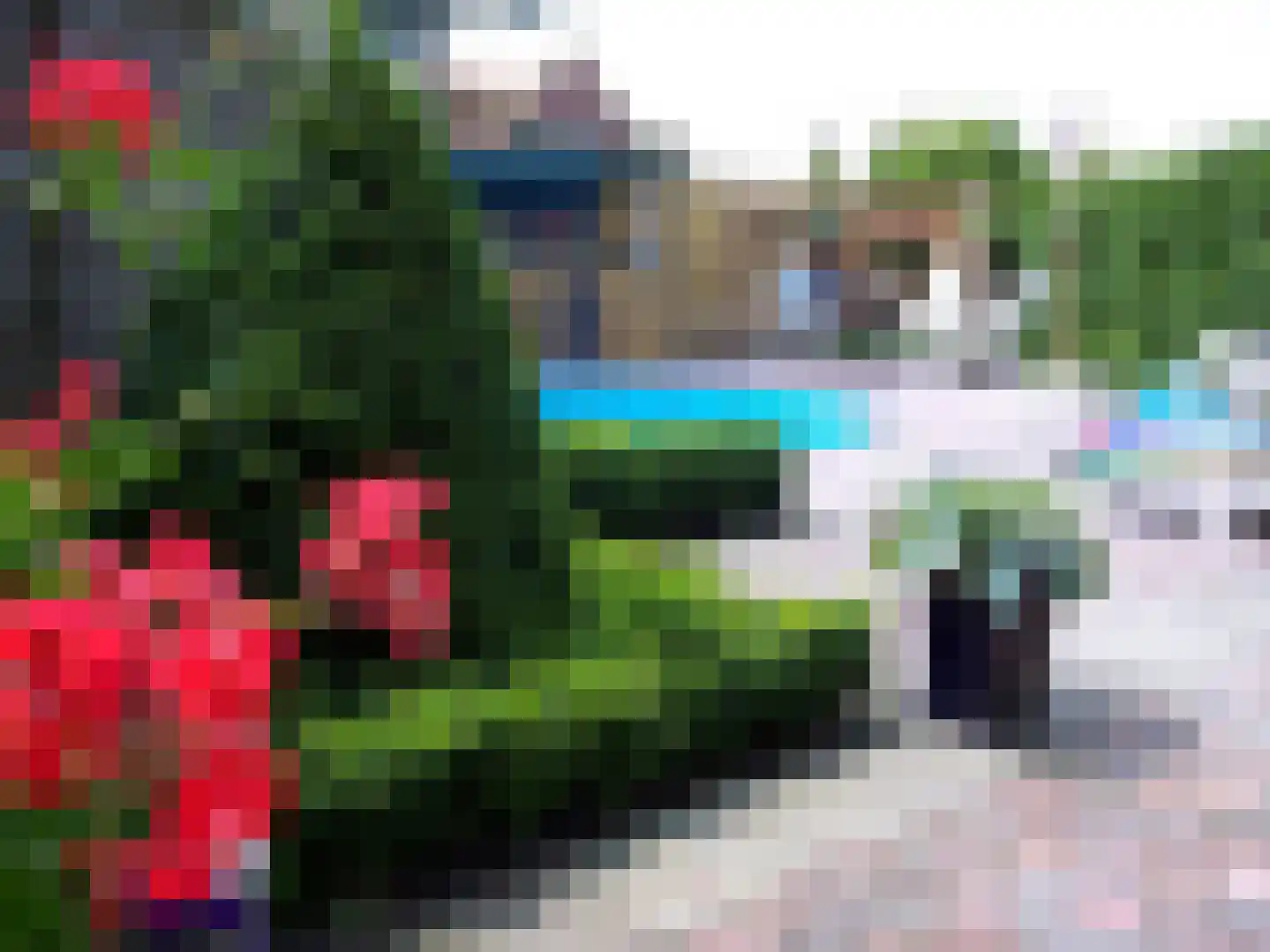Haarweg 4 Gorinchem thumbnail 4