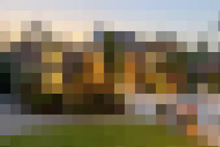 Haarweg 43 Maarsbergen thumbnail 5