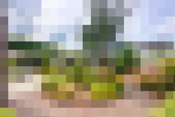 Haarweg 43 Maarsbergen thumbnail 50