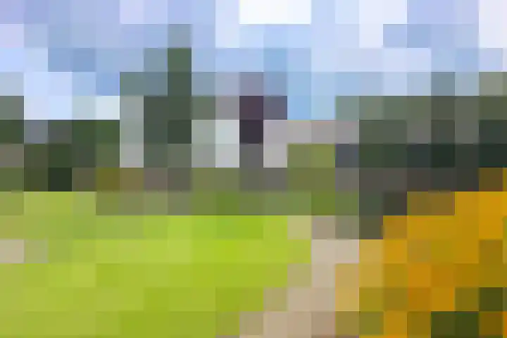 Haarweg 43 Maarsbergen thumbnail 51