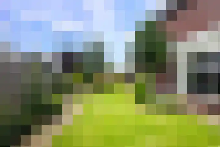 Haarweg 43 Maarsbergen thumbnail 55