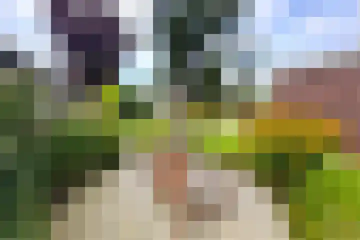 Haarweg 43 Maarsbergen thumbnail 56