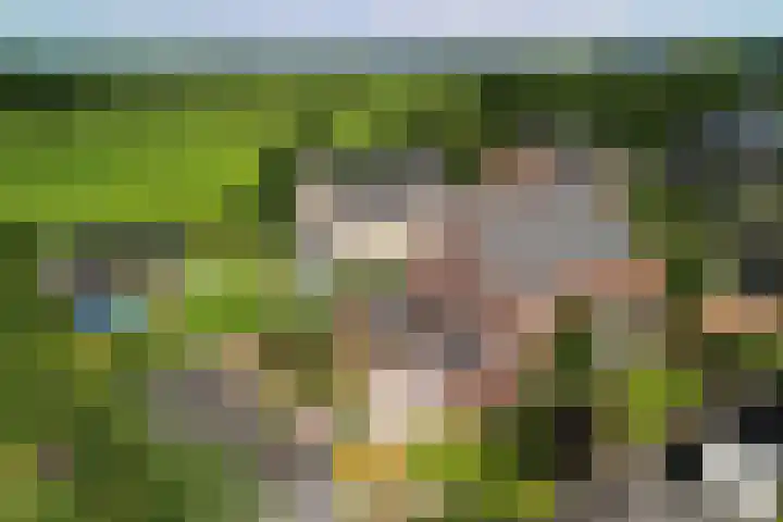 Haarweg 43 Maarsbergen thumbnail 7
