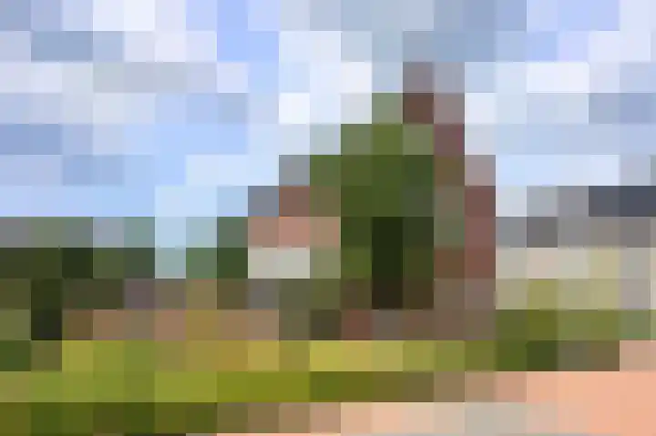 Haarweg 43 Maarsbergen thumbnail 8
