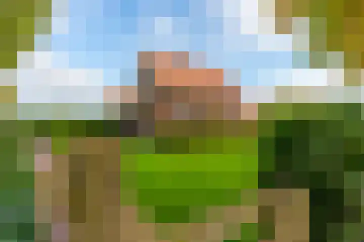 Haarweg 50 Leersum thumbnail 10