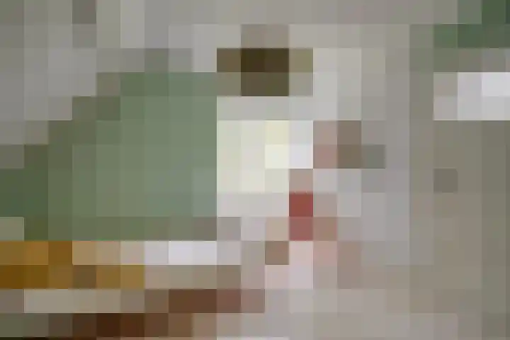 Haarweg 50 Leersum thumbnail 28