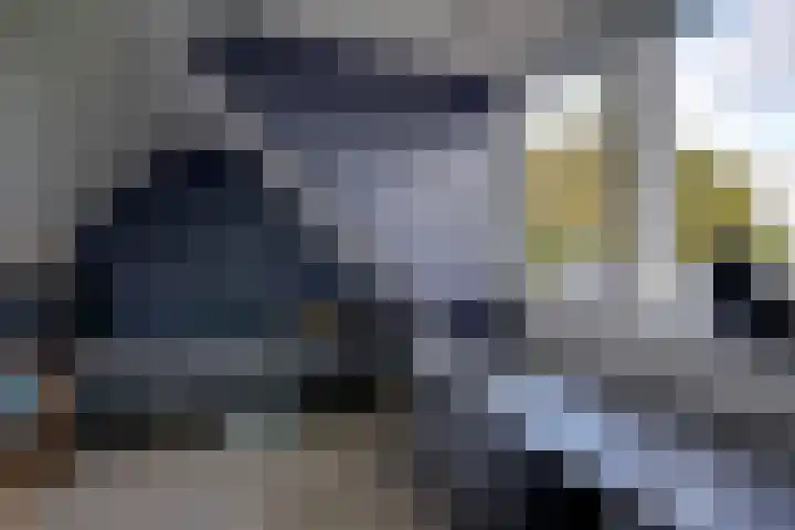 Haarweg 50 Leersum thumbnail 34
