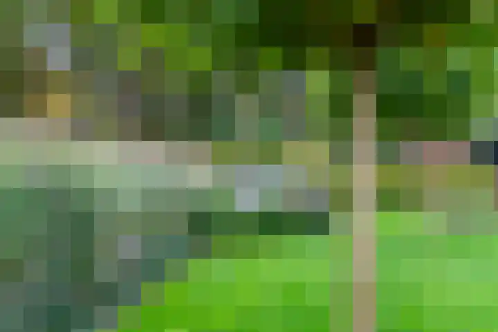 Haarweg 50 Leersum thumbnail 35