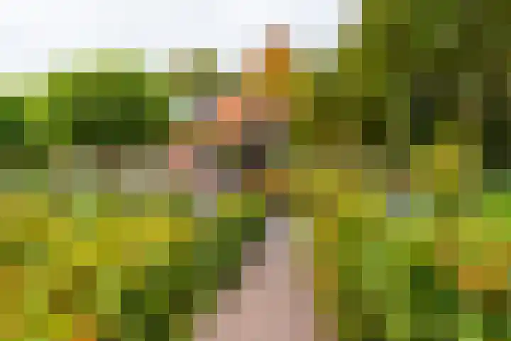 Haarweg 50 Leersum thumbnail 36