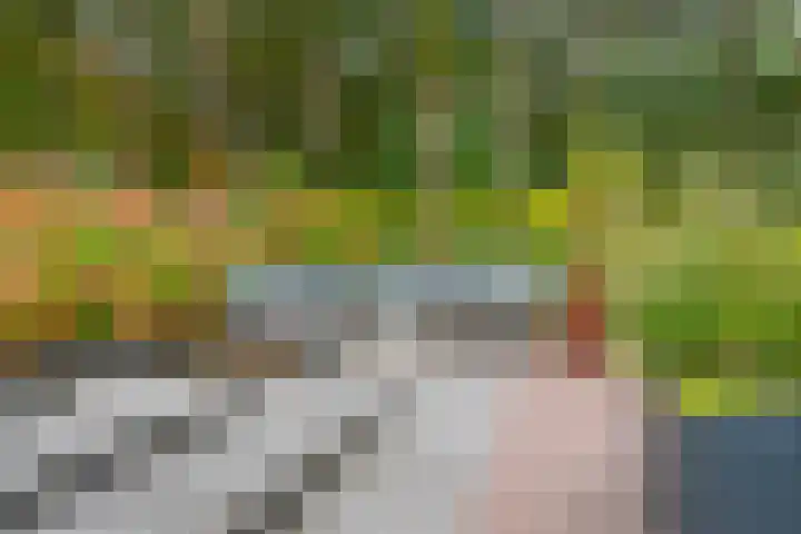 Haarweg 50 Leersum thumbnail 39