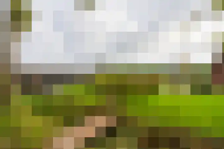 Haarweg 50 Leersum thumbnail 40