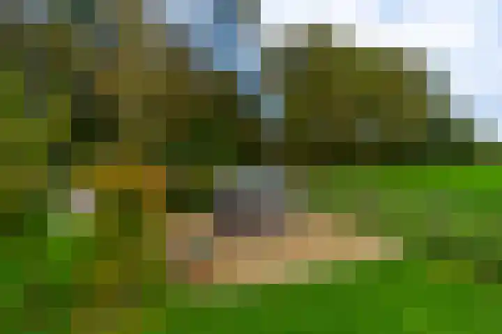 Haarweg 50 Leersum thumbnail 43