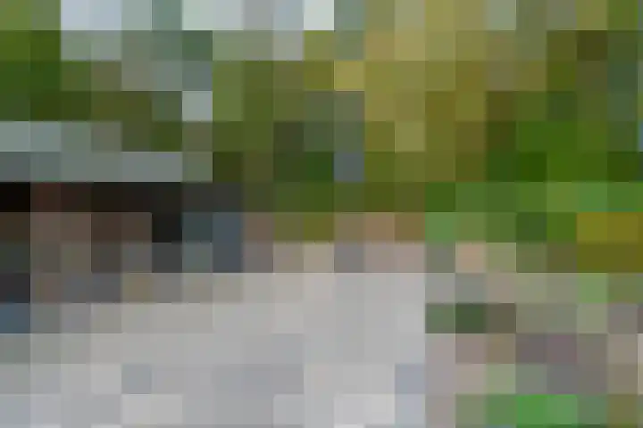 Haarweg 50 Leersum thumbnail 44