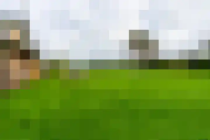 Haarweg 50 Leersum thumbnail 45