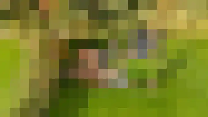 Haarweg 50 Leersum thumbnail 5