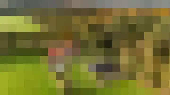 Haarweg 50 Leersum thumbnail 6