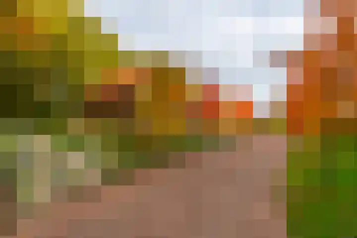 Haarweg 50 Leersum thumbnail 7