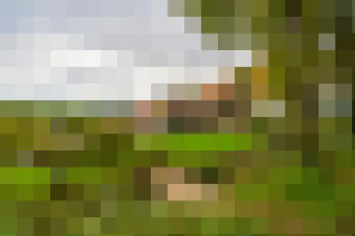 Haarweg 50 Leersum thumbnail 8