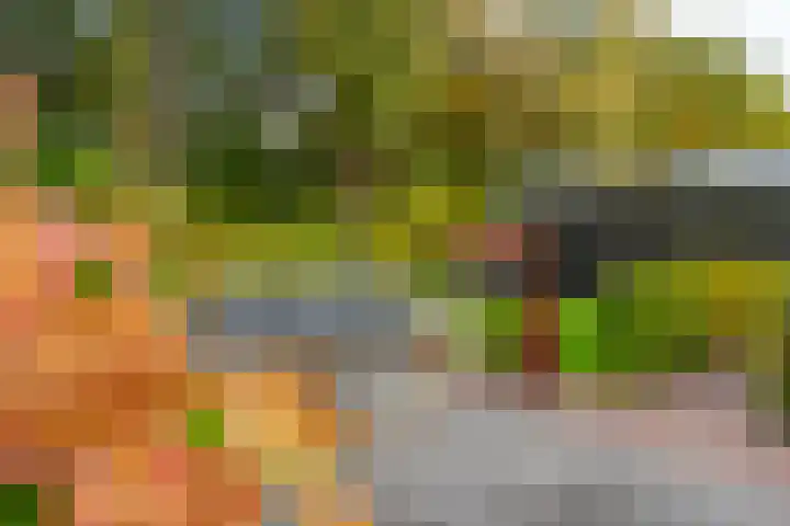 Haarweg 50 Leersum thumbnail 9