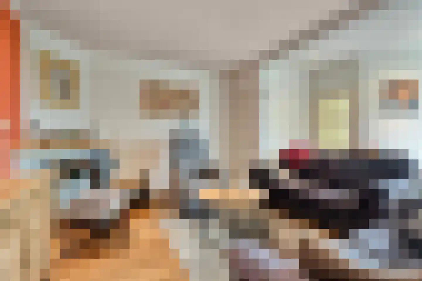 Haarweg 52 Brucht thumbnail 24