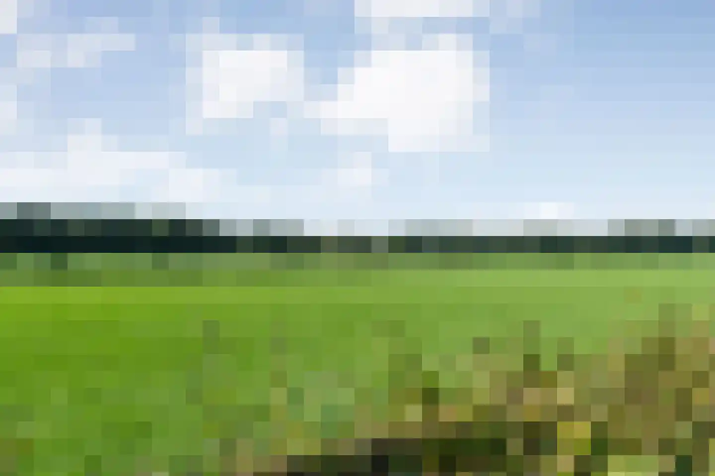 Haarweg 52 Brucht thumbnail 58