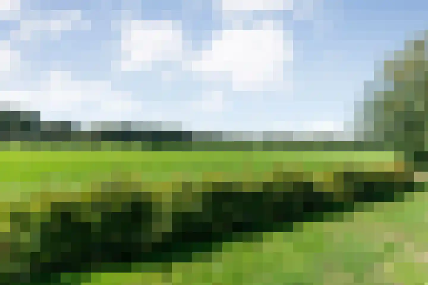 Haarweg 52 Brucht thumbnail 63