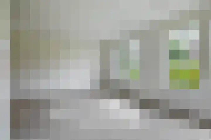Haarweg 6 A Wageningen thumbnail 13