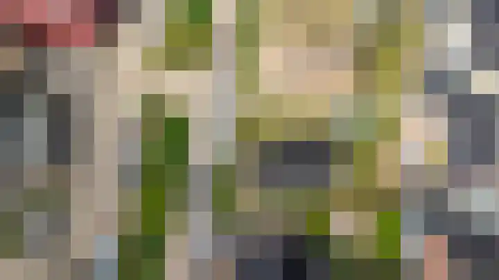 Haarweg 6 A Wageningen thumbnail 32