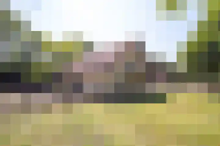 Haarweg 60 Maarsbergen thumbnail 34