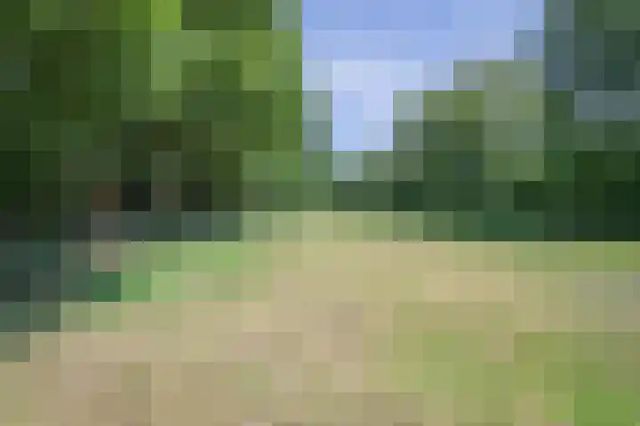 Haarweg 60 Maarsbergen thumbnail 35